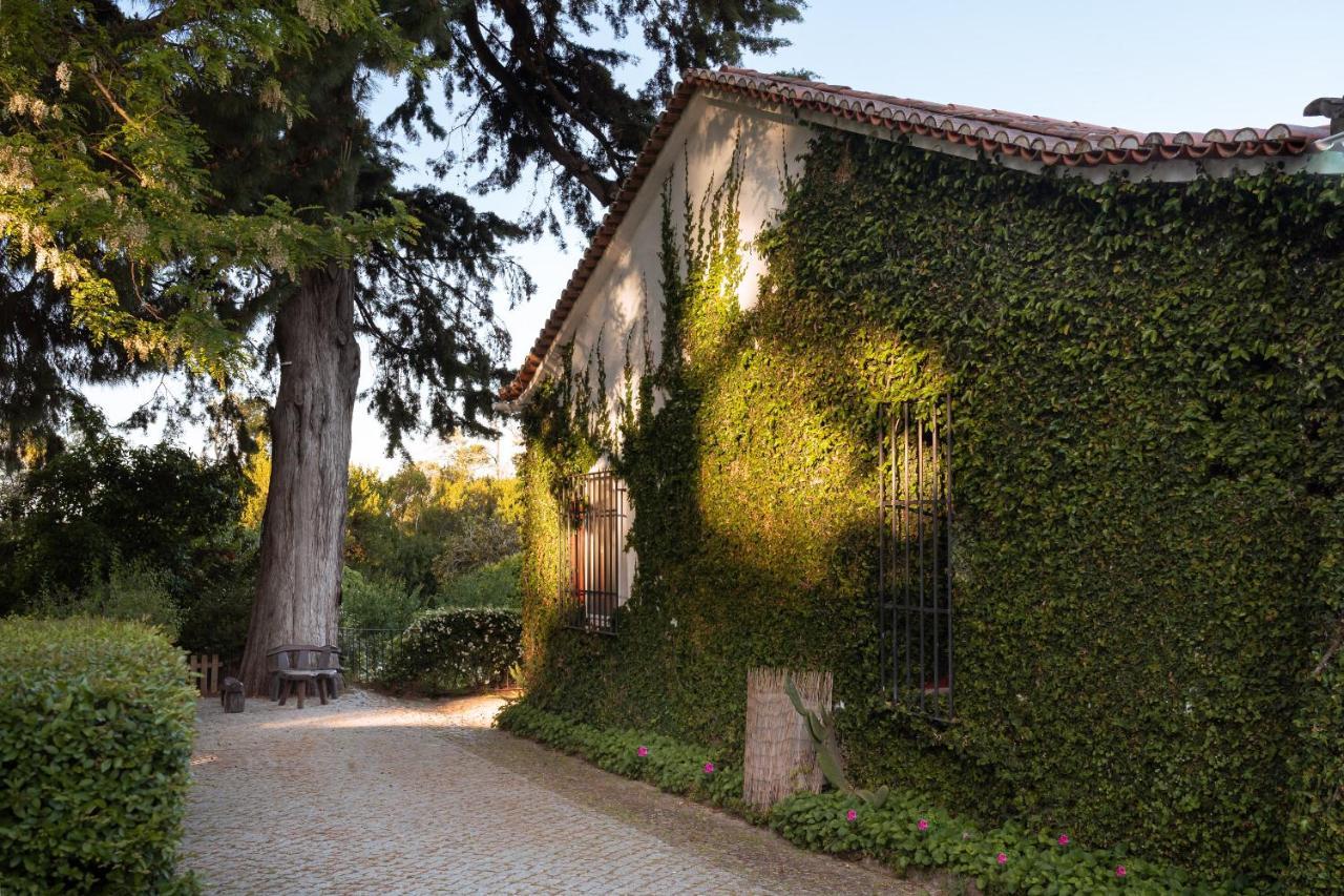 Imani Country House Evora Bagian luar foto